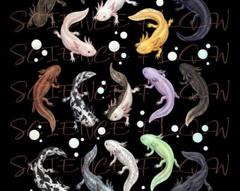 Axolotl Aesthetic PNG Bundle – 4 Transparent Background Designs, No Text, High Resolution Digital Download