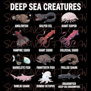 Pode incluir: Gráfico preto com ilustrações de criaturas das profundezas marinhas, incluindo um peixe-pescador, uma lula gigante e um tubarão-frade. O texto "DEEP SEA CREATURES" está no topo.