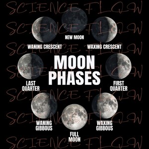 Pode incluir: Um gráfico educativo mostrando as diferentes fases da lua: Lua Nova, Crescente Crescente, Quarto Crescente, Gibosa Crescente, Lua Cheia, Gibosa Minguante, Quarto Minguante e Crescente Minguante. As palavras "MOON PHASES" estão em branco. O fundo é preto.