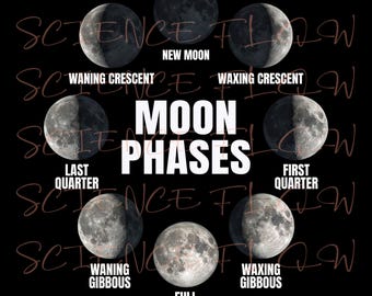Moon Phases Educational PNG Design, Lunar Phases Chart, Astronomy & Space Science Illustration for Posters, T-Shirts Art