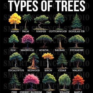 May include: A poster titled "TYPES OF TREES" displays illustrations of different tree species, such as Aspen, Palm, Juniper, and Douglas Fir. Each tree is labelled with its name, set against a black background.