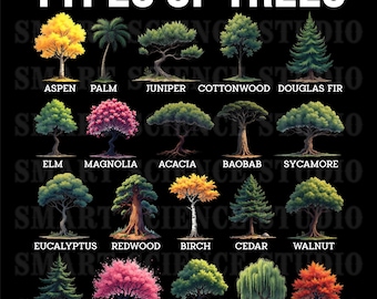 20 Types of Trees Educational PNG Design, Tree Species, Botanical Nature Art for T-shirts, Mugs & More - Transparent Background
