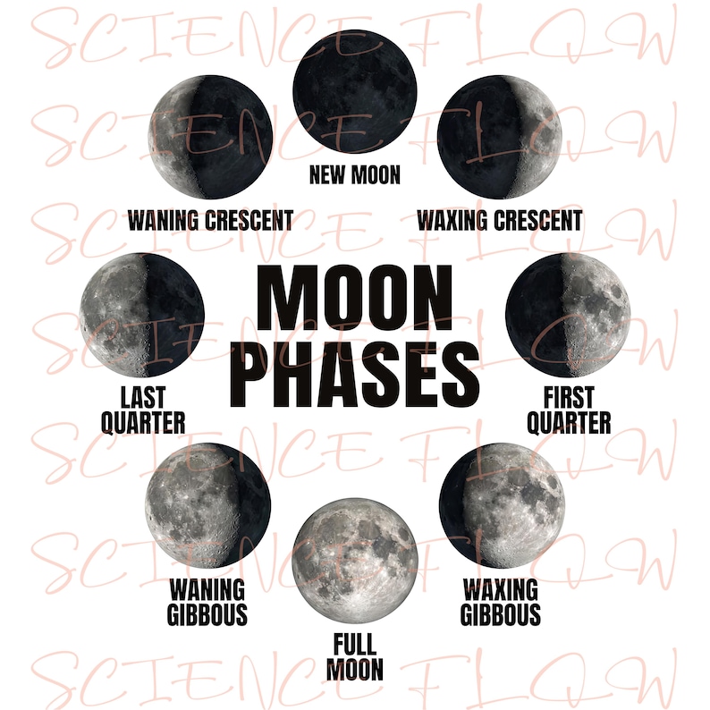 Moon Phases Educational PNG Design, Lunar Phases Chart, Astronomy ...