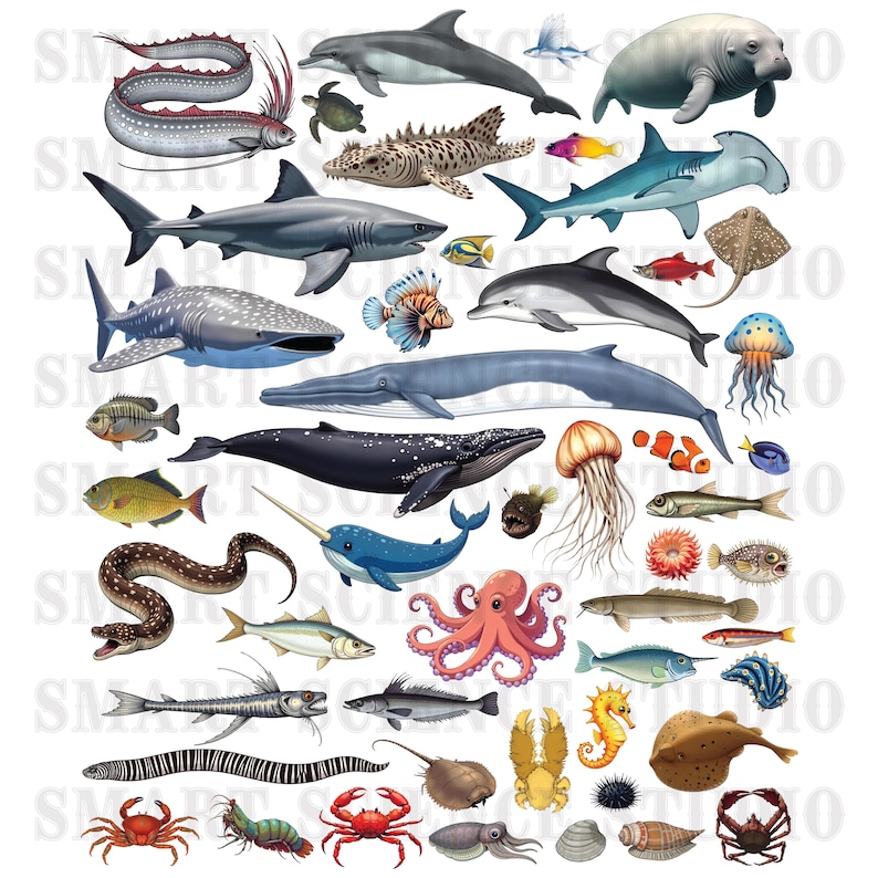Ocean Array Animal Ocean Creatures PNG Design, Sea Animals Illustration 2 Designs for Kids ...