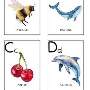 Carte Alphabet