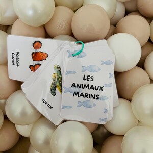 Imagier animaux de la mer à imprimer – PDF éducatif enfant 3 ans – Activité bébé Montessori thème océan