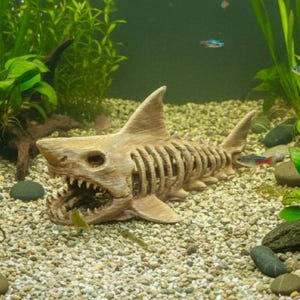 Op de afbeelding: Een beige, getextureerd haaienskelet aquariumornament met een open bek met zichtbare tanden en een ribbenkaststructuur. Het object is geplaatst op een grindbodem in een aquariumomgeving, omringd door groene waterplanten.