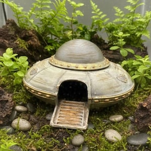 Könnte beinhalten: Ein graues, untertassenförmiges UFO-Ornament mit einer gewölbten Oberseite, einem goldfarbenen Rand mit kleinen kreisförmigen Akzenten und einer offenen Luke mit Rampe. Das Objekt ist zwischen grünen Pflanzen, braunen Steinen und grauen Kieselsteinen platziert.