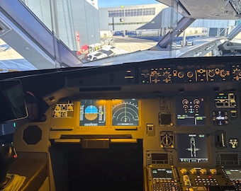 Full MIP SL3 3D Printed Airbus A320 Panels
