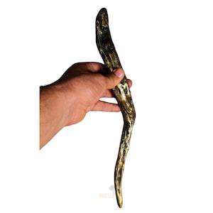 Könnte beinhalten: Ein gebogener Holzstab mit metallisch goldener und brauner Oberfläche. Der Stab hat eine strukturierte Oberfläche und eine natürliche, organische Form. Der Stab wird in einer Hand vor weißem Hintergrund gehalten.