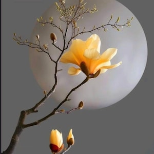 Arte de pared zen de mente pacífica, arte imprimible budista, decoración minimalista, póster Japandi, impresión de descarga digital estética japonesa, meditación.