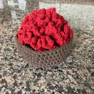 Flower Crochet Coasters and Pot