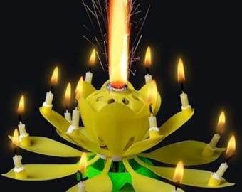 Musical Birthday Candle: Rotating Flower Cake Topper with 14 Candles
