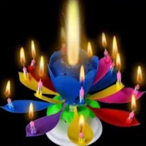 May include: A multi-colored lotus-shaped birthday candle with open petals, each holding a small lit candle. The center features a larger flame rising from the blue inner petals. The petals are yellow, pink, blue, red, and purple, set on a white base.