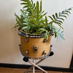 Vintage Drum Planter with Stand