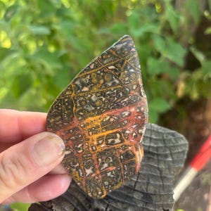 Galactic orb matrix leopard skin Jasper medallion - wire wrap - slab - Freeform cab - rough tumbled - gemstone - talisman - rare rocks