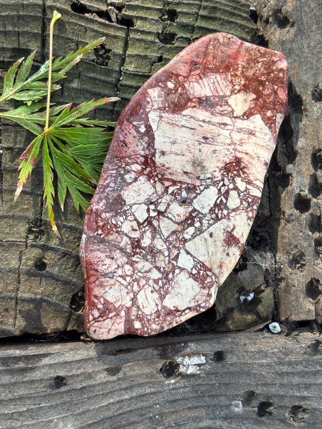 Chipboard Rhyolite Slab Found in La Paz County AZ -.medallion - Wire ...