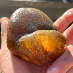 Montana Moss Agate Rough 15.62 oz Golden Amber Translucent Lapidary Specimen - ancient river art - glowing amber - talisman - PEACE PEACE