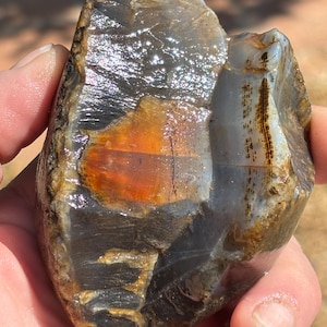 May include: A polished agate stone featuring a translucent gray and brown base with a prominent, vibrant orange inclusion in the center. The surface displays a smooth, glossy texture with visible natural banding and dark brown mineral streaks.