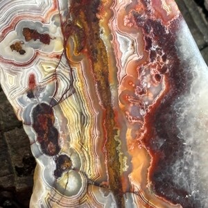 May include: A polished agate slice featuring intricate concentric banding in shades of cream, white, gray, and deep rust-red. The stone displays a central vertical vein of golden-brown mineral deposits surrounded by translucent crystalline formations.