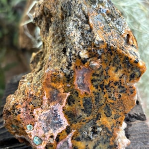 May include: A raw, unpolished rock specimen featuring a textured surface with a mottled pattern of deep orange, black, and brown mineral deposits. The stone displays translucent patches of light pink and small, embedded turquoise-colored inclusions.