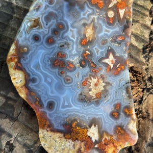May include: A polished agate slab featuring intricate concentric banding in shades of light blue and gray, interspersed with vibrant orange and rust-colored mineral inclusions and star-shaped white crystalline formations throughout the surface.