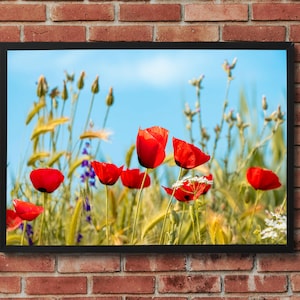 Red Poppy Field Wall Art – Vibrant Wildflower Photography Print, Nature-Inspired Digital Download for Rustic or Boho Decor