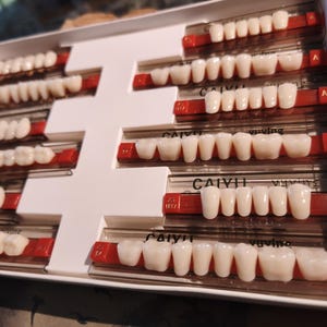 Peut inclure: Un plateau de rangement blanc contenant plusieurs rangées de dents prothétiques dentaires blanc cassé disposées sur des bandes en plastique rouge. Chaque rangée présente différentes tailles et formes de dents artificielles, avec la marque CAIYI.