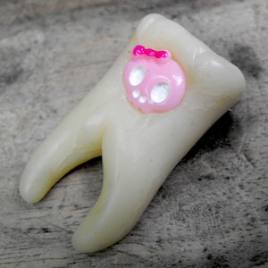 Può includere: Un oggetto a forma di dente color crema con un piccolo emblema a forma di teschio rosa chiaro incastonato sulla superficie. Il teschio presenta due orbite bianche e un fiocco rosa brillante sulla parte superiore, creando un netto contrasto.