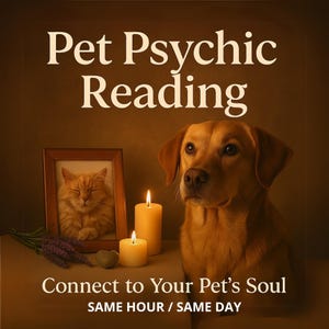 Lectura de mascotas en la misma hora, lectura psíquica de mascotas, lectura de tarot para mascotas, lectura de tarot para tus mascotas, conexión con médiums animales, lectura psíquica