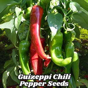 Guizeppi Chili Pepper Seeds (50) Mild Hatch NuMex Variety 1000–1500 SHU Green Chile Non-GMO Free US Shipping