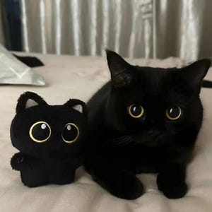 10 cm かわいい黒猫ぬいぐるみ人形小さなペンダント抱き枕クッションイン黒猫ぬいぐるみ人形男の子女の子誕生日ギフト