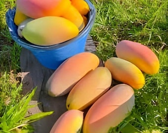 MAHA CHANOCK Grafted mango live tree 2-3'