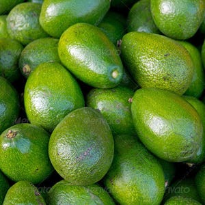 May include: A close-up of a pile of green avocados. The avocados are arranged in a random pattern, with some of them overlapping. The avocados are all ripe and ready to eat.