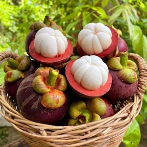 May include: A wicker basket overflowing with fresh mangosteen fruit. The fruit has a deep purple rind, with some cut open to reveal the white, segmented flesh. Green stems and leaves are visible, creating a vibrant display.