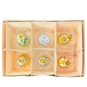 Può includere: Un set di sei ornamenti natalizi in vetro trasparente con disegni celesti. Ogni ornamento presenta un motivo di sole, luna o stella in oro, argento e giallo. Gli ornamenti sono confezionati in una scatola di cartone beige.