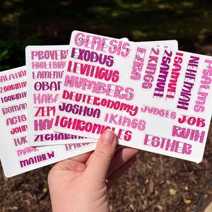 PINK Books of the Bible Stickers