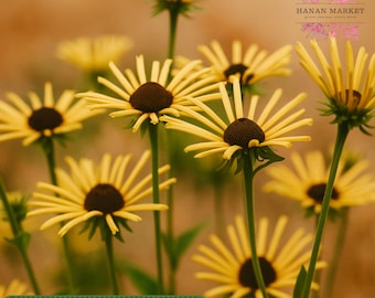 200 Henry Eilers Rudbeckia Seeds, Unique Quill Petal Black-Eyed Susan, Long Blooming Perennial