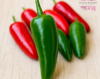 25 Pot-a-Peno Hot Pepper Seeds, Compact Container Variety, Non-GMO Heirloom for Patio Growing