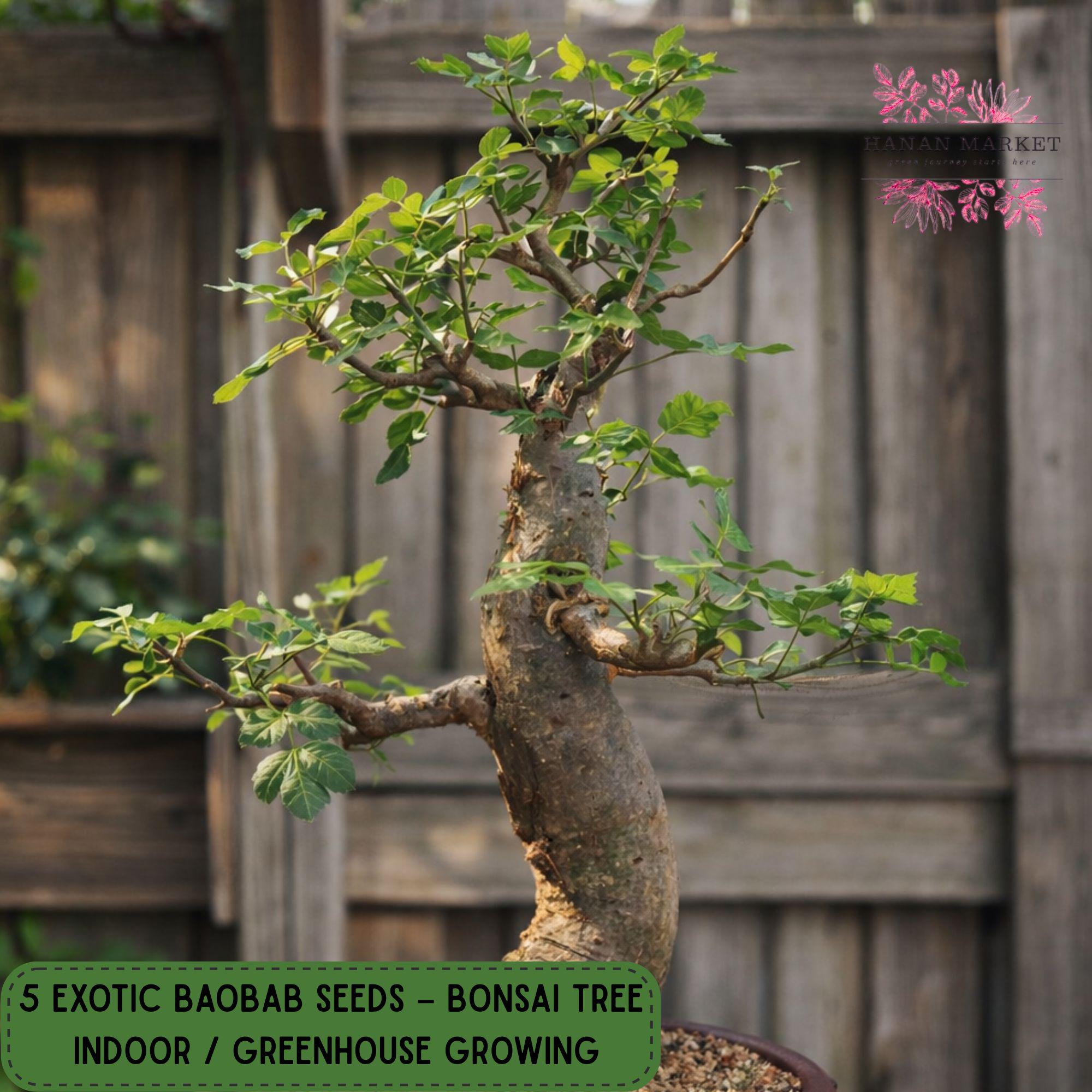 nandina bambus Lemon Lime Heavenly Bamboo main image 1