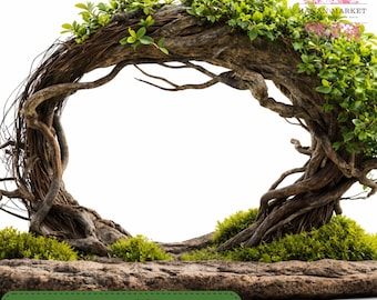 Live Willow Cuttings (4), Bonsai Arch Starter, Fast Growing Willow, Bare Root, Indoor Outdoor