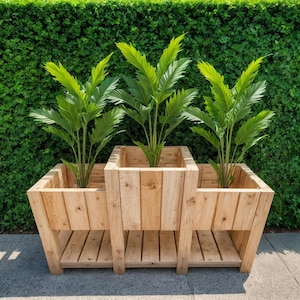 May include: A wooden planter with three separate square containers, each holding a vibrant green plant. The planter is constructed from light-colored wood and features a slatted shelf beneath each container. The background is a dense, green hedge.
