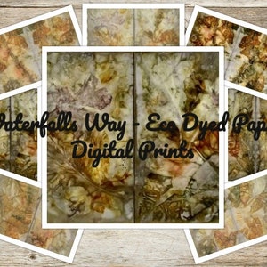 Eco Dyed Paper Prints - Digital Pack