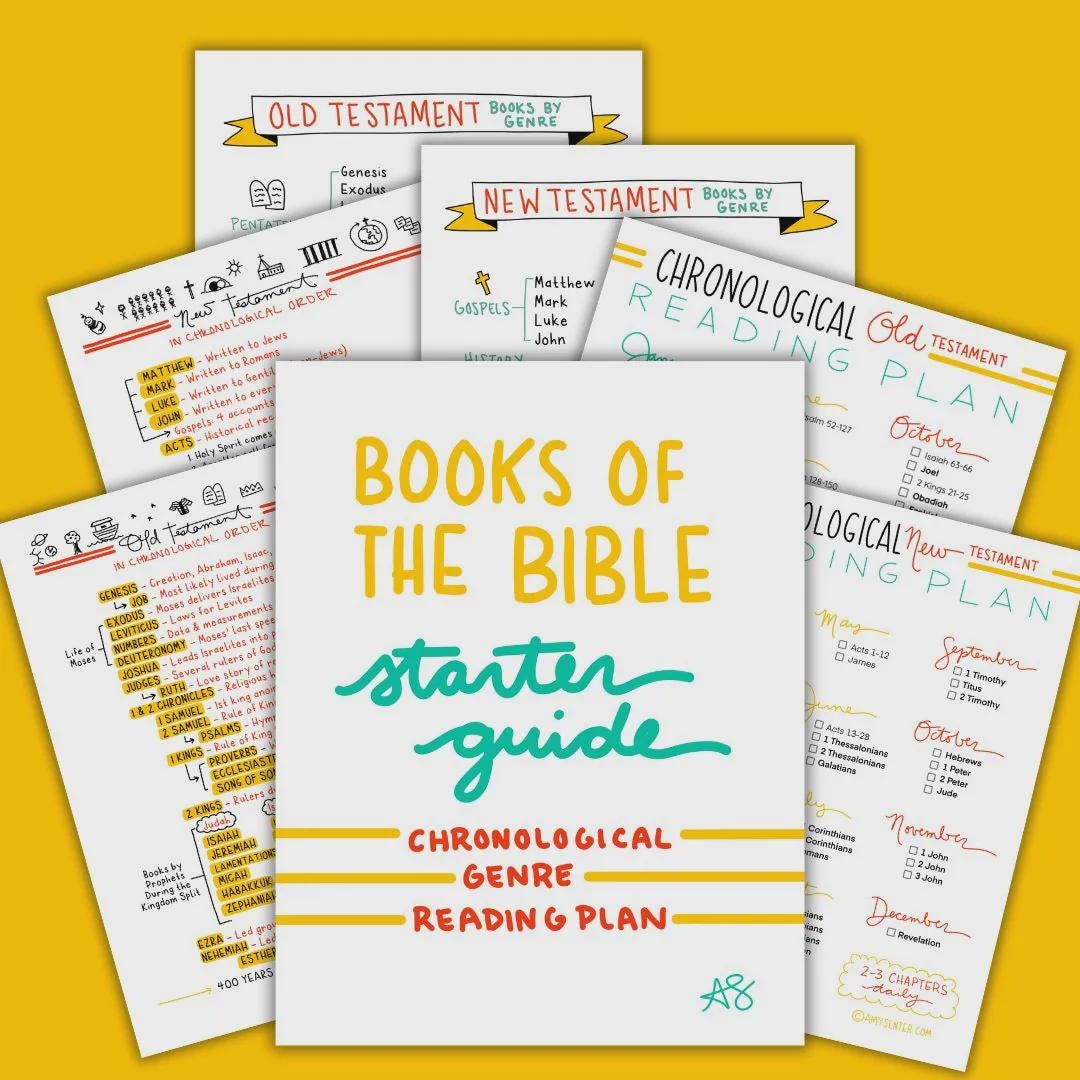 Books of the Bible: Starter Guide (digital) | Old & New Testament ...