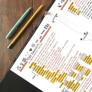 Old & New Testament: Chronological Bible Summary image 2