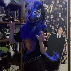 Fully fured dinomask fursuit with tail!!