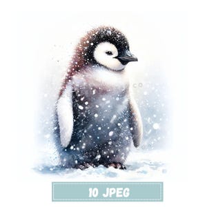 10 Penguin Christmas Clipart, Winter JPEG , Cute Woodland Animal Digital Download, Snowy Forest Illustration for Crafts Cards, Scrapbooking