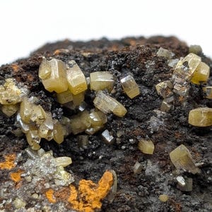 157 g. Wulfenite Crystals on Limonite, High Quality Mineral Specimen, 10.9 x 4.6 x 7.1 cm