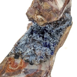 Azurite Crystals on Matrix, Mexican Mineral Collection