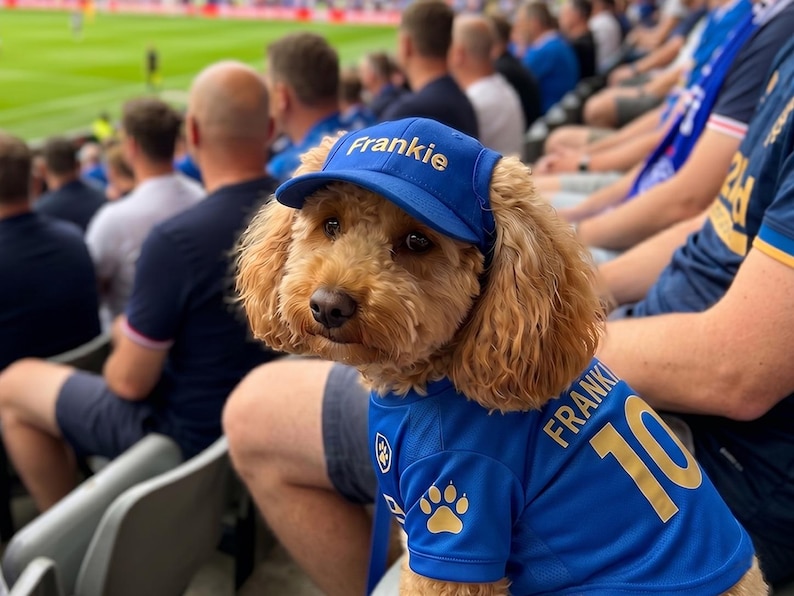May include: A light brown dog wearing a blue baseball cap with "Frankie" embroidered on it and a blue jersey with "Frankie" and the number "10" on the back. The dog is sitting in a stadium with other spectators.